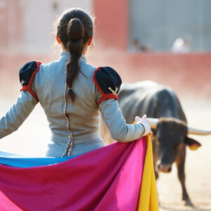 Tauromaquia
